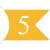 5 5